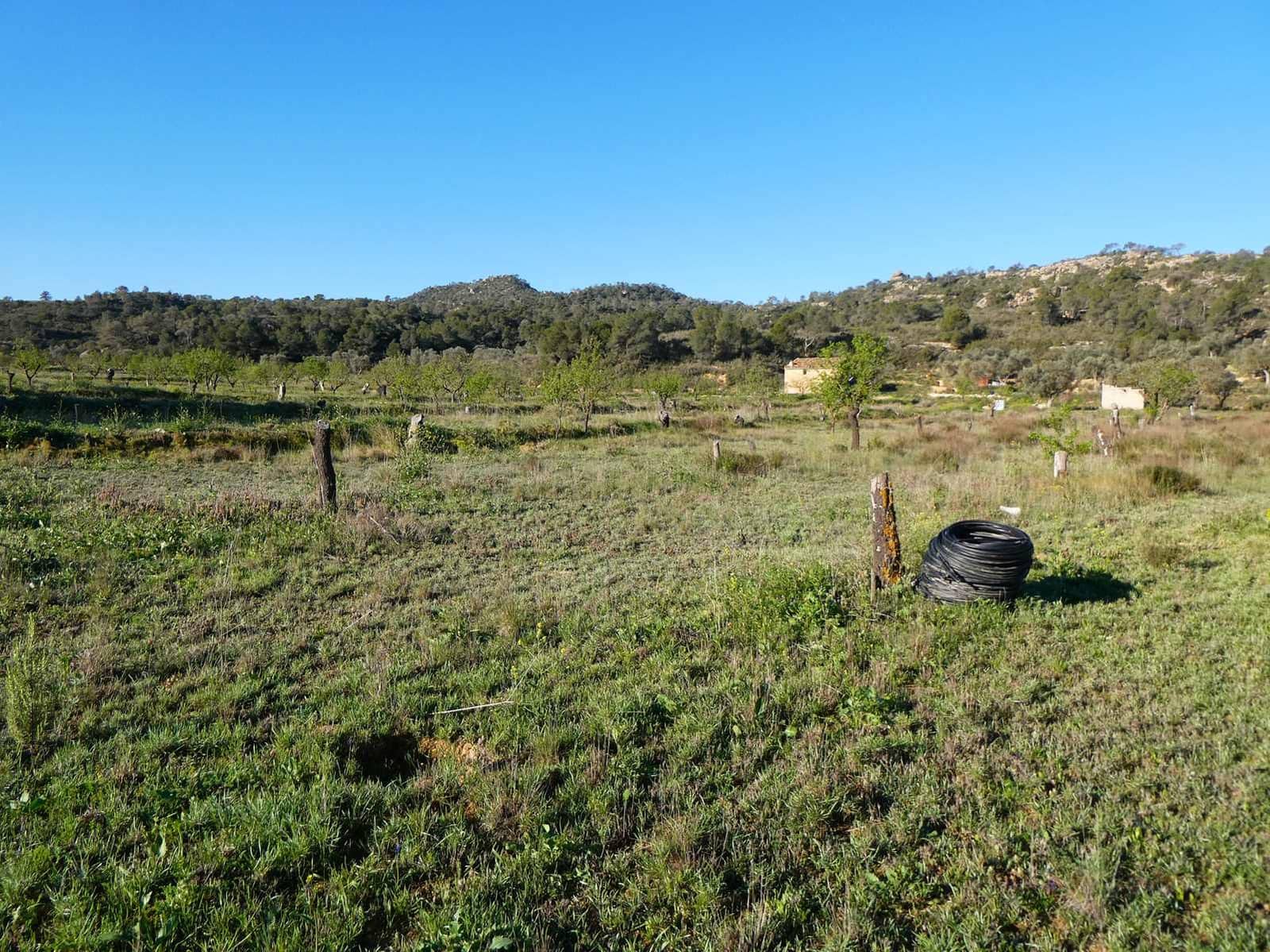 1 soveværelse Finca/Landehus til salg i Maella - € 43.500 (Ref: 8948337)