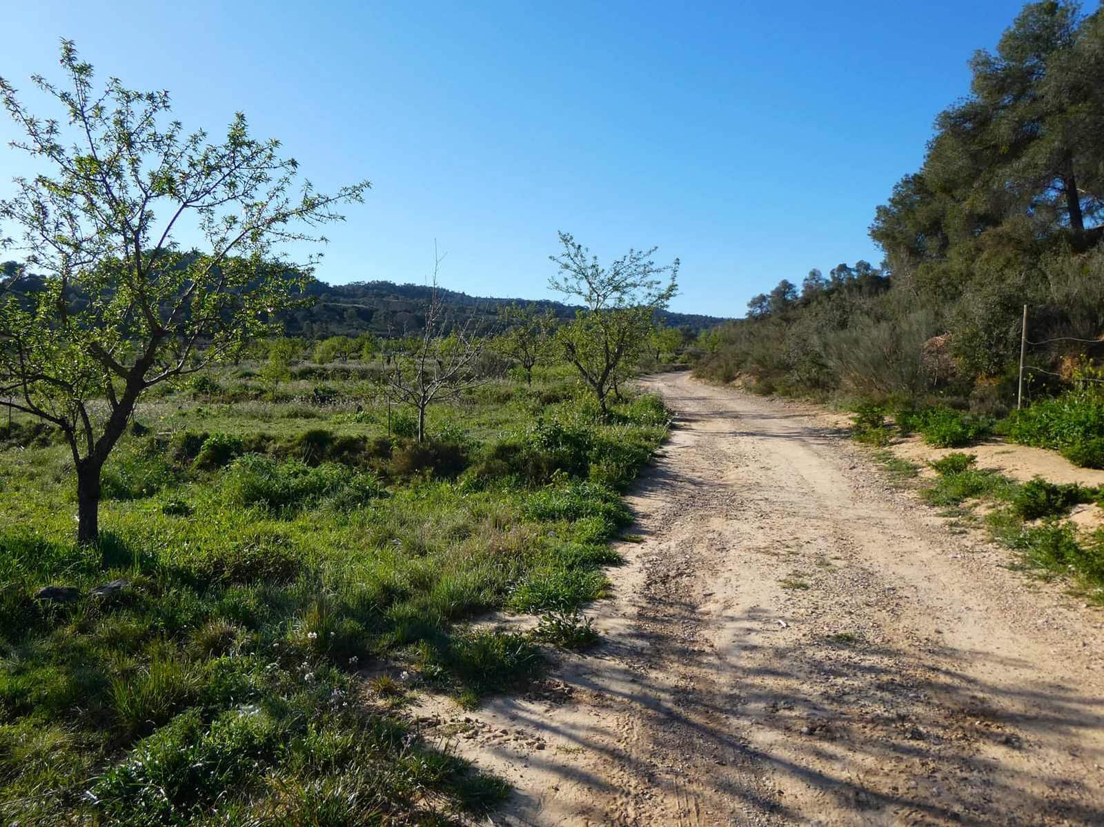 1 soveværelse Finca/Landehus til salg i Maella - € 43.500 (Ref: 8948337)