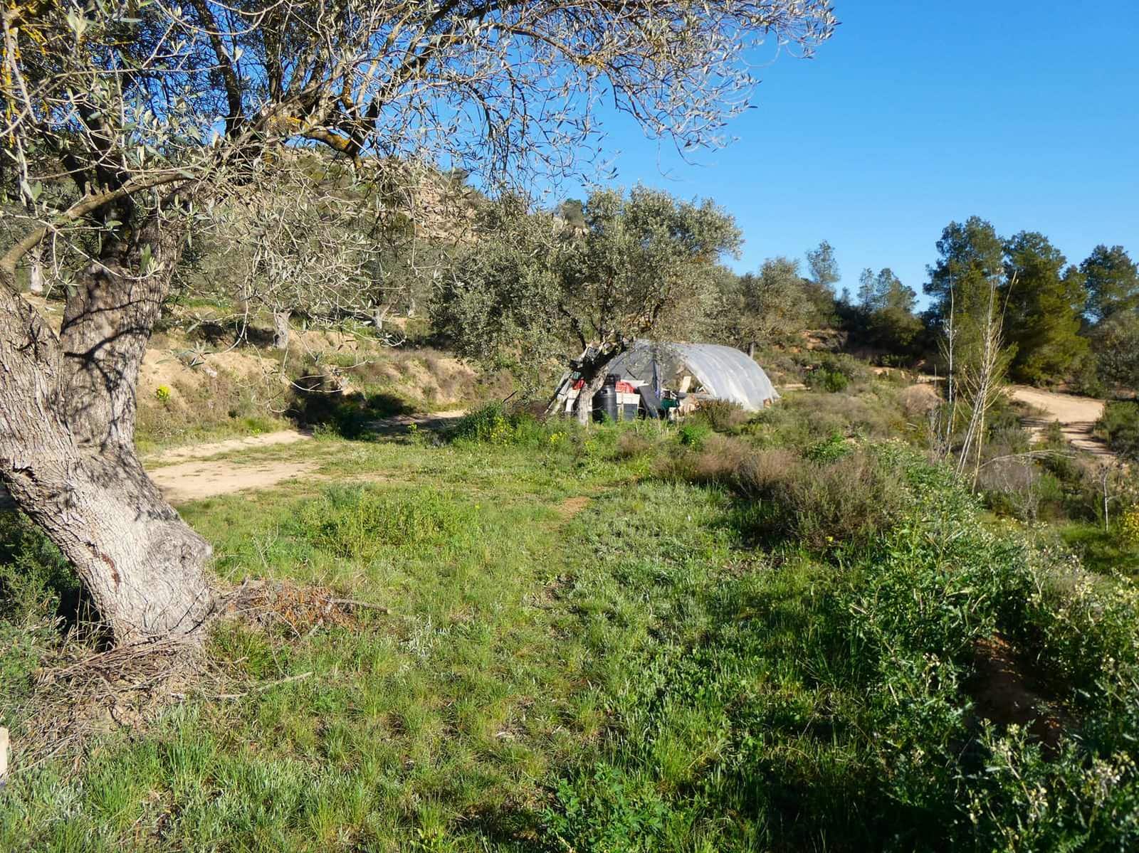 1 soveværelse Finca/Landehus til salg i Maella - € 43.500 (Ref: 8948337)