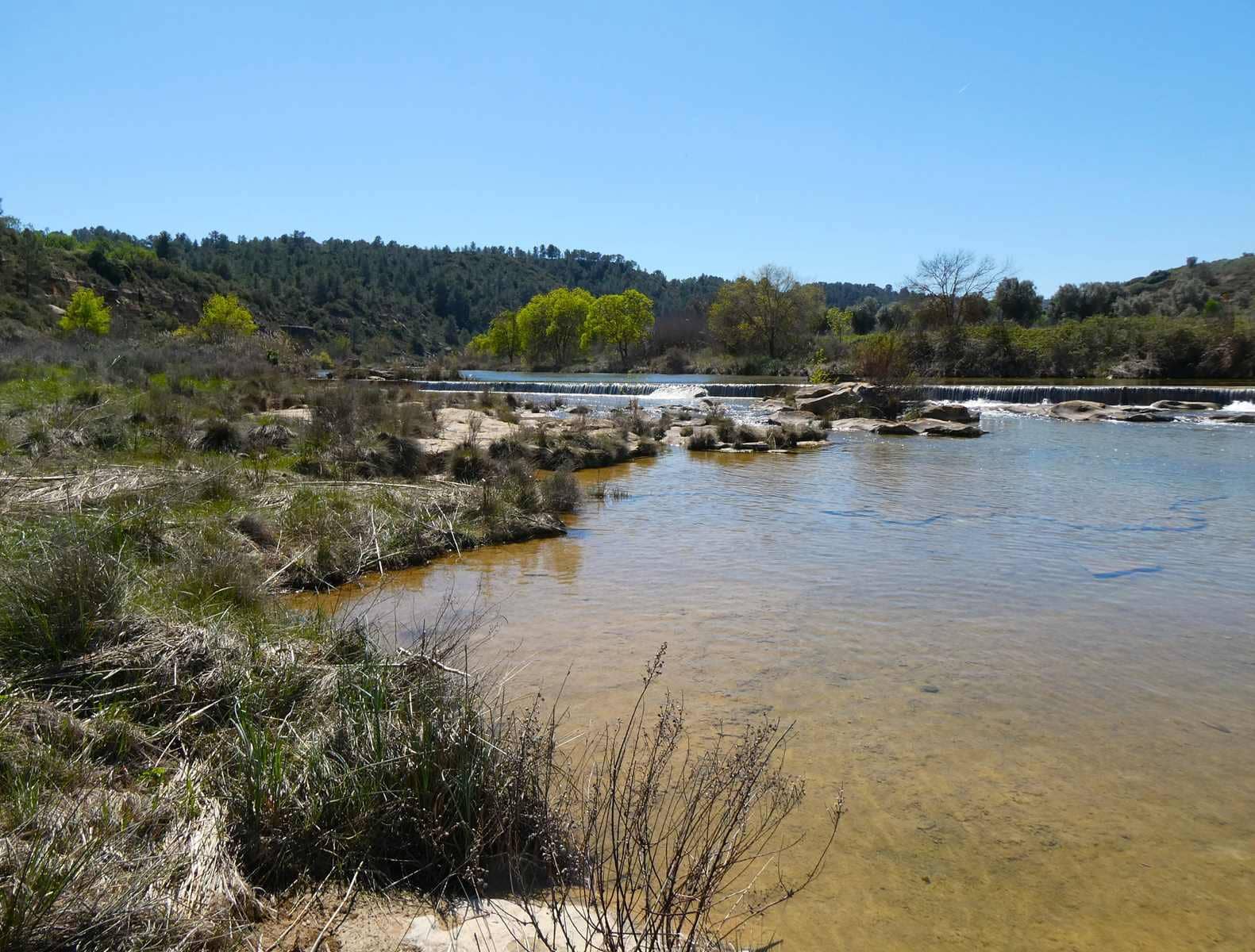1 bedroom Finca/Country House for sale in Caseres - € 36,000 (Ref: 8973568)