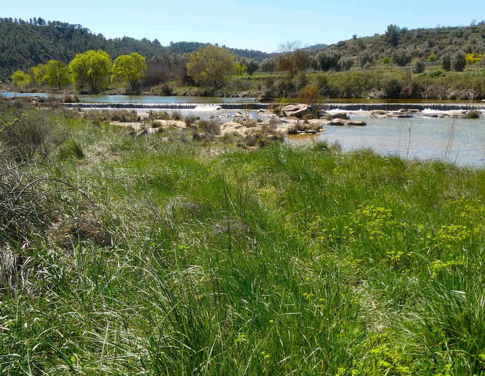 1 bedroom Finca/Country House for sale in Caseres - € 36,000 (Ref: 8973568)