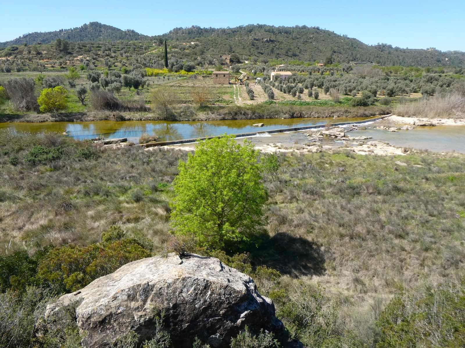 1 bedroom Finca/Country House for sale in Caseres - € 36,000 (Ref: 8973568)