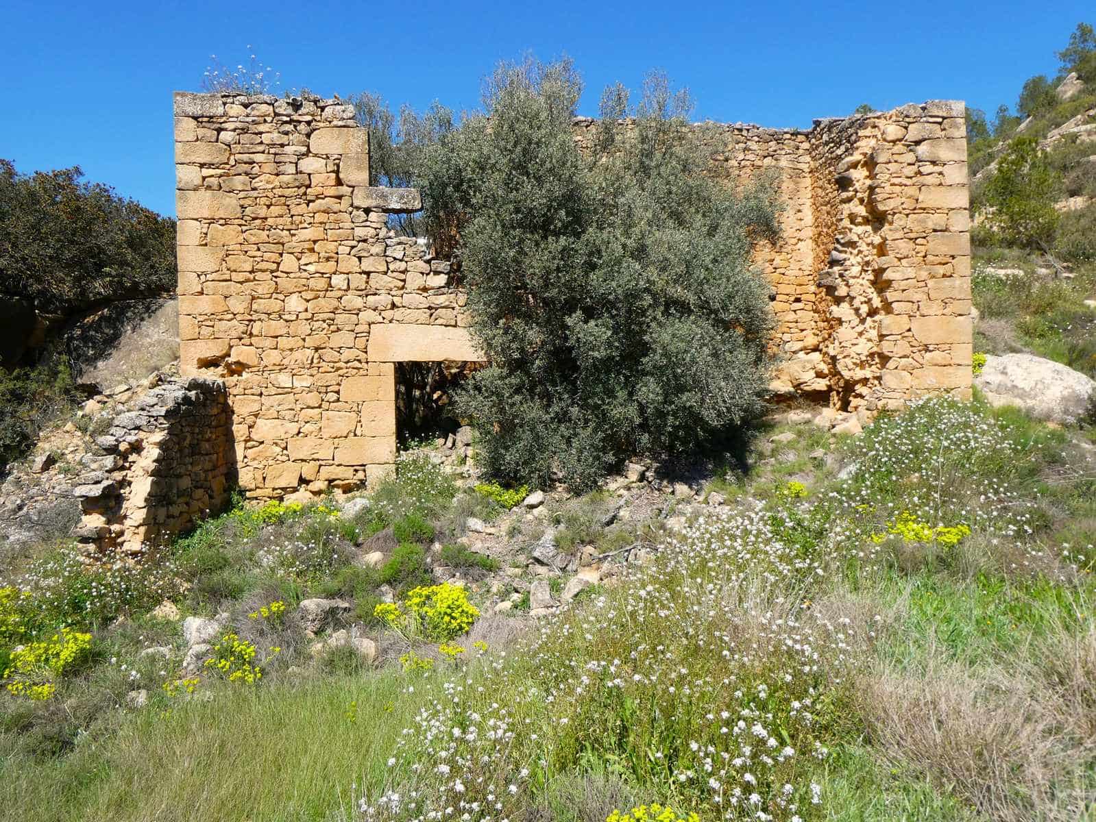 1 bedroom Finca/Country House for sale in Caseres - € 36,000 (Ref: 8973568)