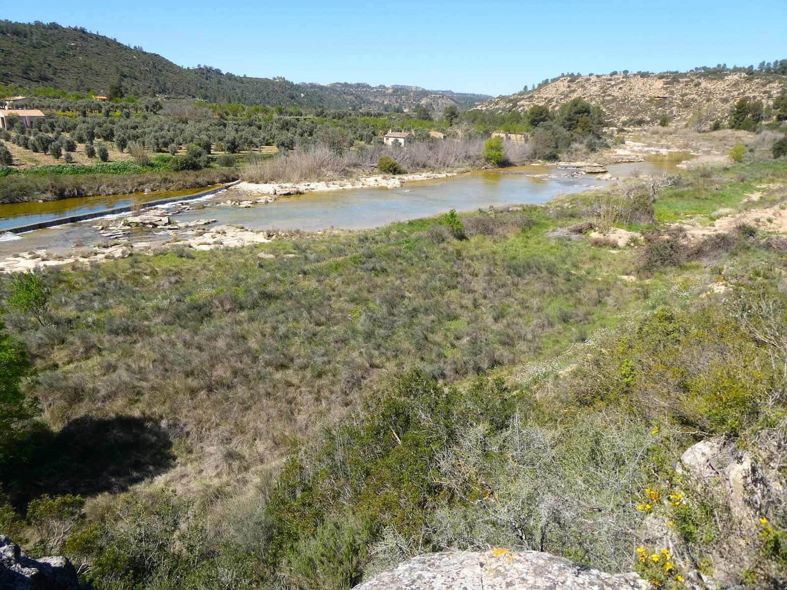 1 bedroom Finca/Country House for sale in Caseres - € 36,000 (Ref: 8973568)