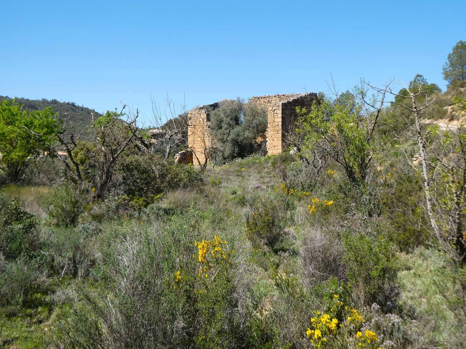 1 bedroom Finca/Country House for sale in Caseres - € 36,000 (Ref: 8973568)