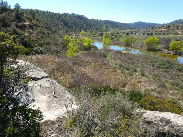 1 slaapkamer Finca/Landhuis te koop in Caseres - € 36.000 (Ref: 8973568)