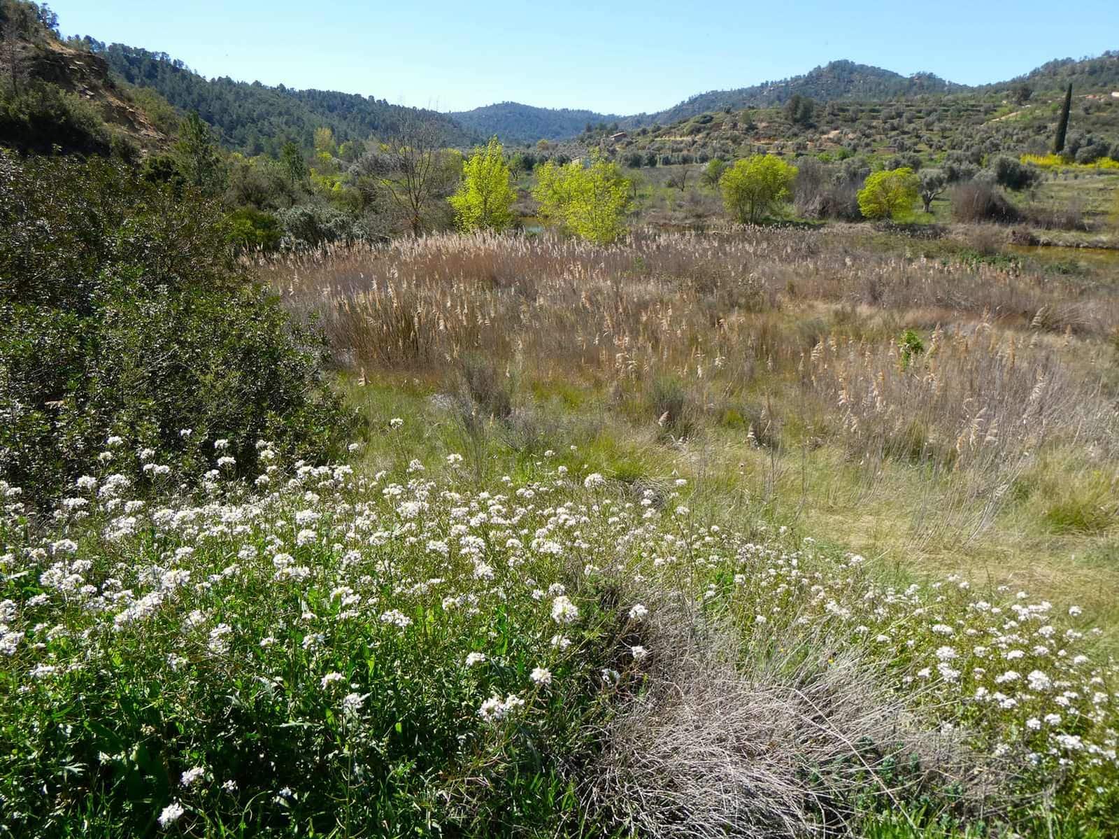 1 bedroom Finca/Country House for sale in Caseres - € 36,000 (Ref: 8973568)