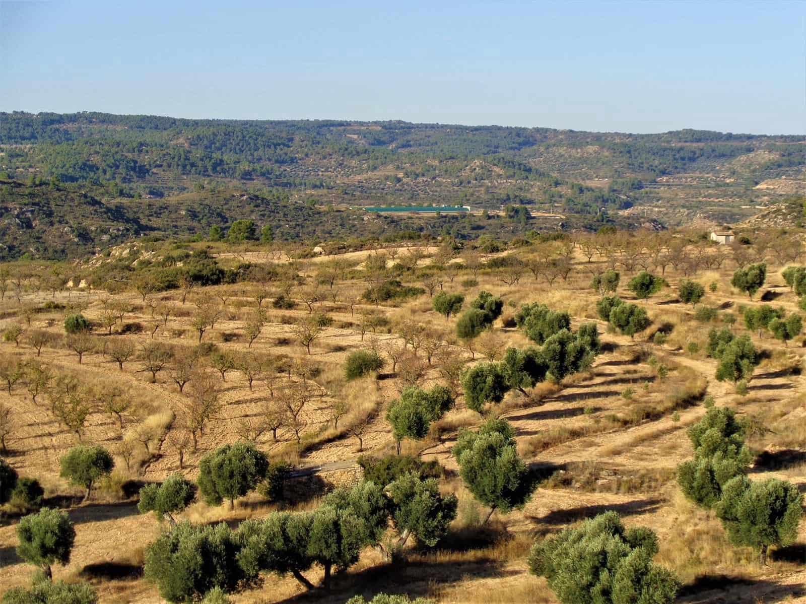 Finca/Landehus til salg i Maella - € 9.500 (Ref: 9001970)