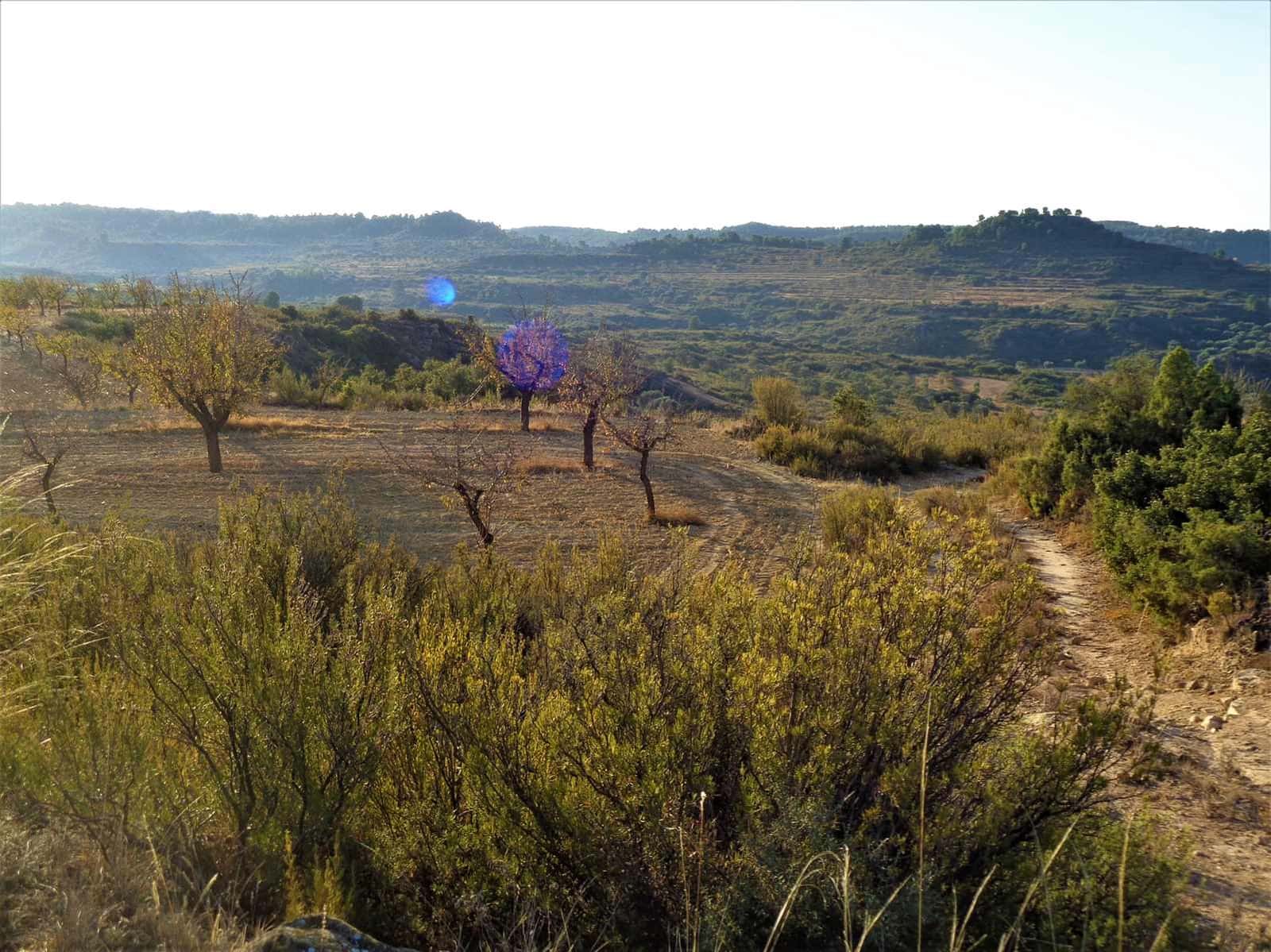 Finca/Landehus til salg i Maella - € 9.500 (Ref: 9001970)