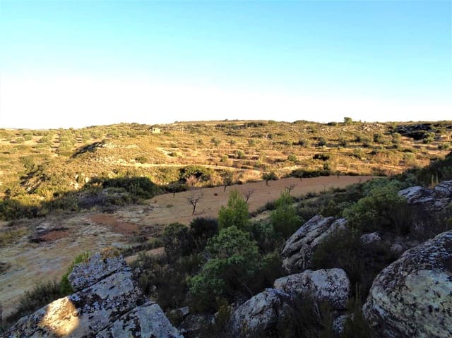 Finca/Country House for sale in Maella - € 9,500 (Ref: 9001970)