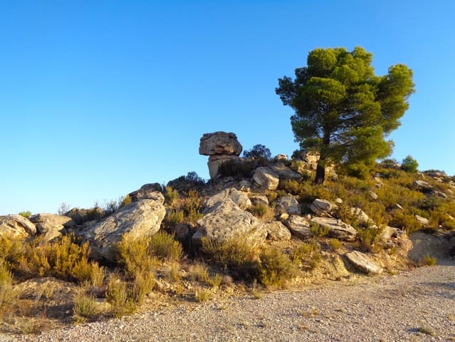 Finca/Country House for sale in Maella - € 9,500 (Ref: 9001970)