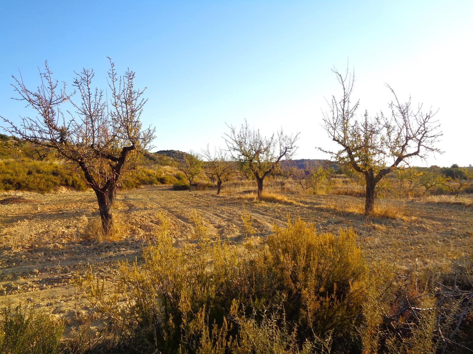 Finca/Landehus til salg i Maella - € 9.500 (Ref: 9001970)