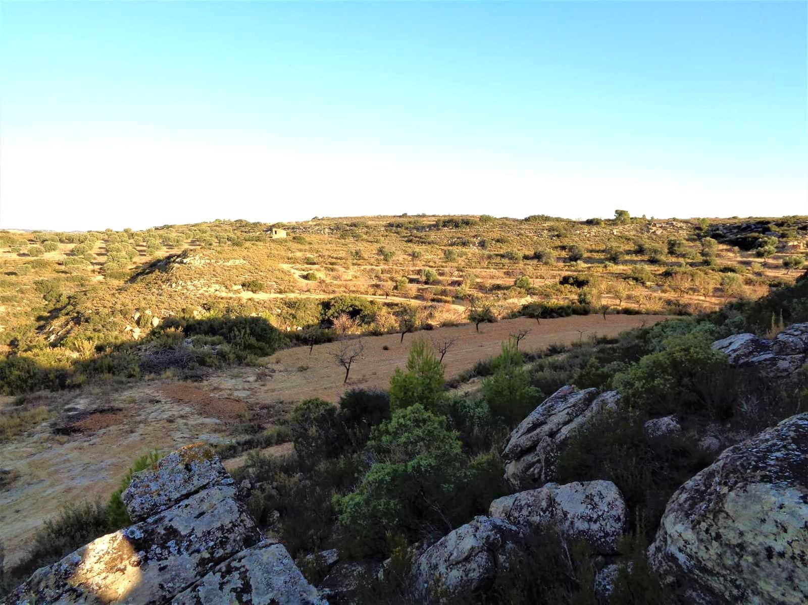 Finca/Landgut zu verkaufen in Maella - 9.500 € (Ref: 9001970)