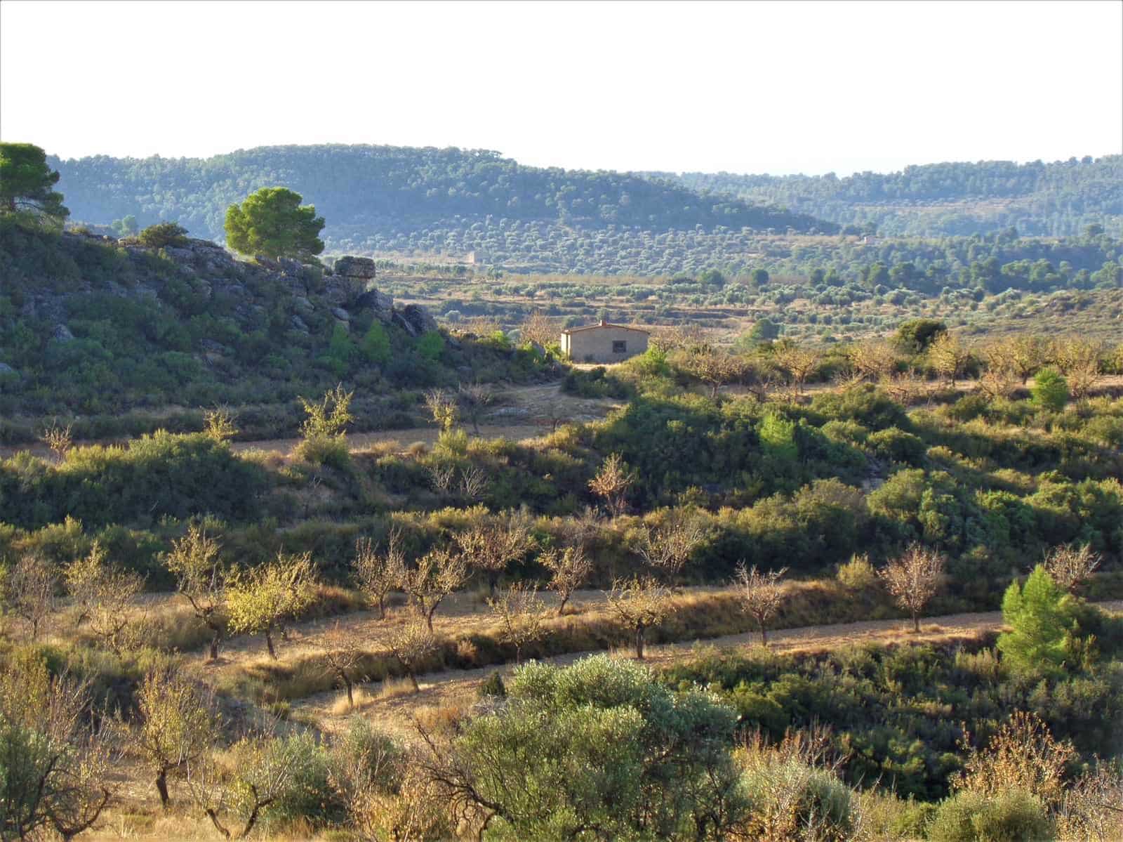 Finca/Landgut zu verkaufen in Maella - 9.500 € (Ref: 9001970)