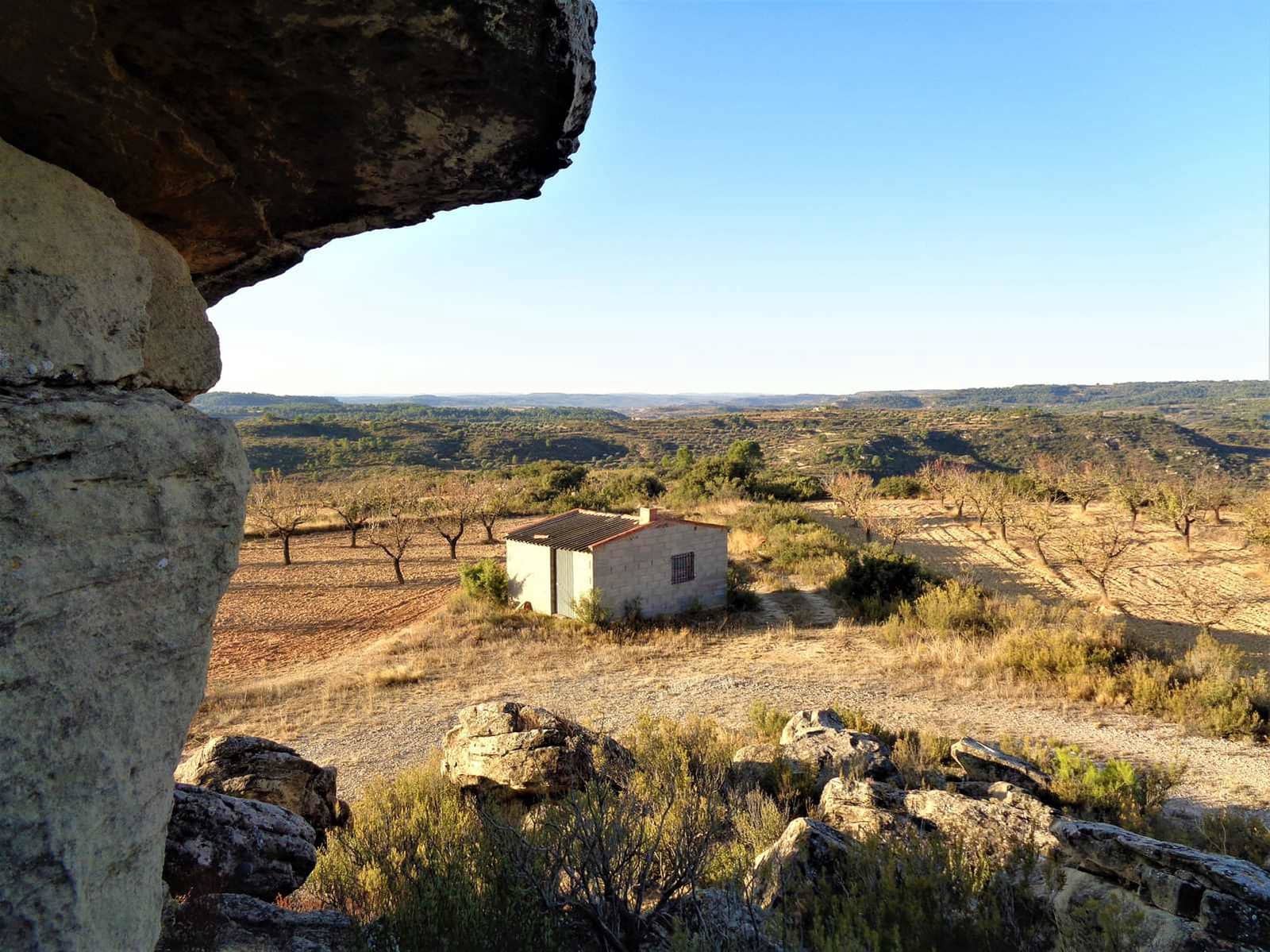 Finca/Landgut zu verkaufen in Maella - 9.500 € (Ref: 9001970)