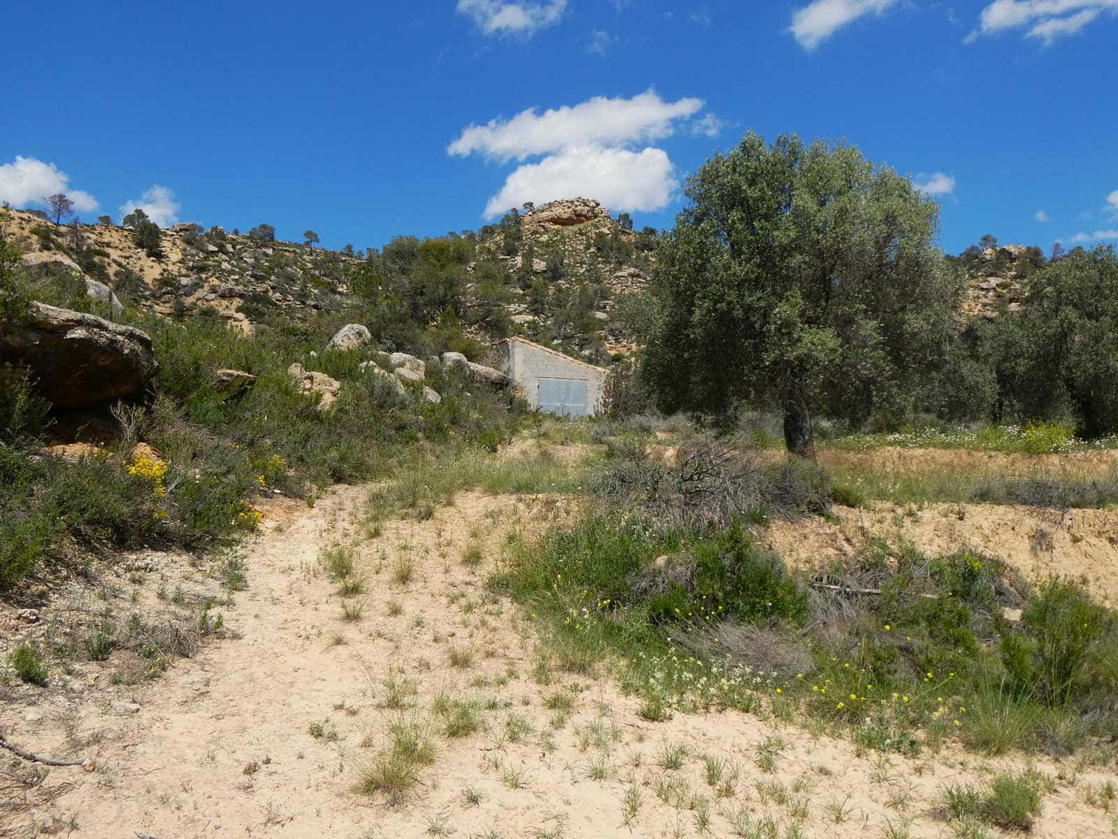 Finka/Dom wiejski na sprzedaż w Maella - 35 000 € (Ref: 9025546)