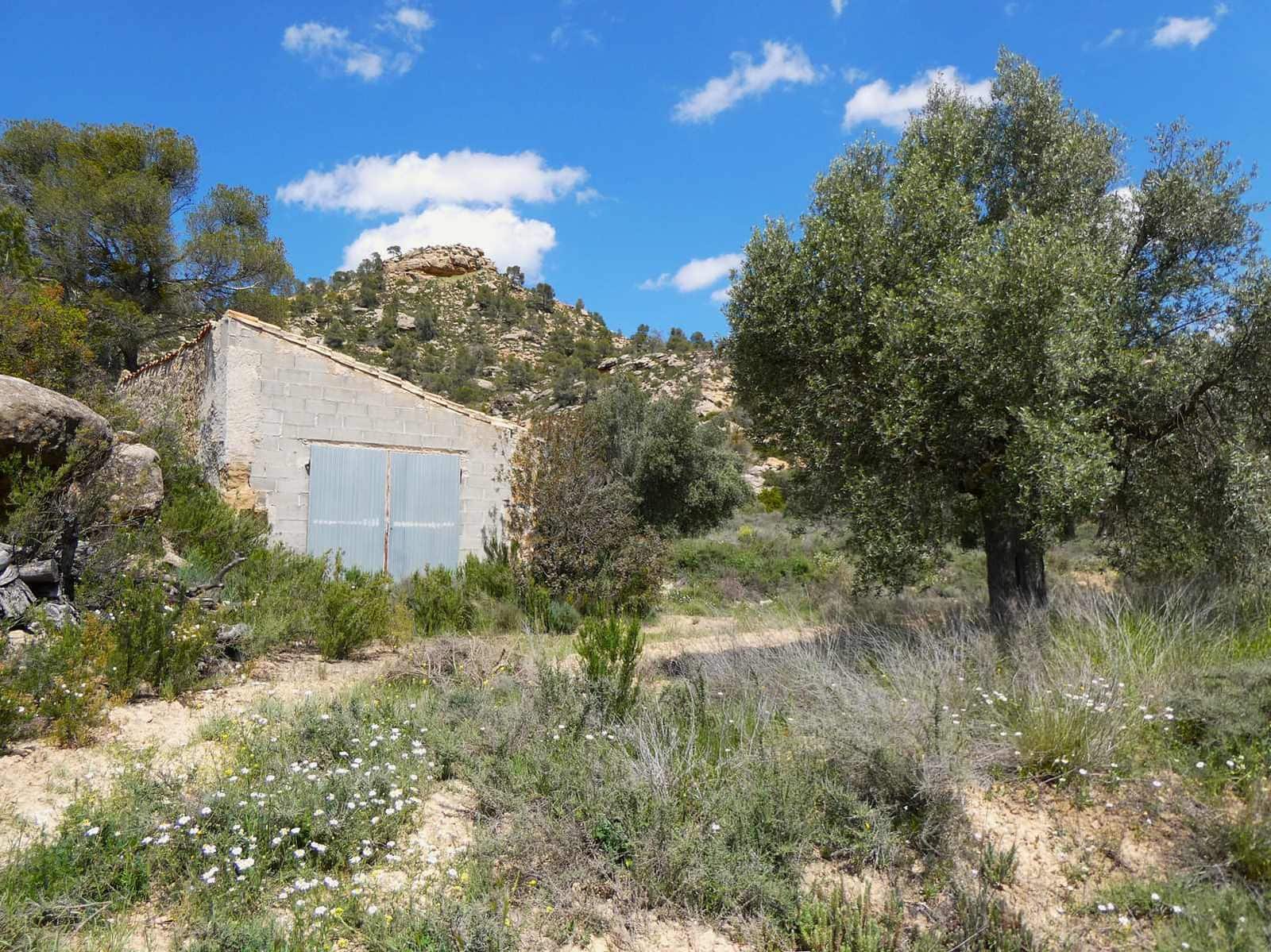 Finka/Dom wiejski na sprzedaż w Maella - 35 000 € (Ref: 9025546)