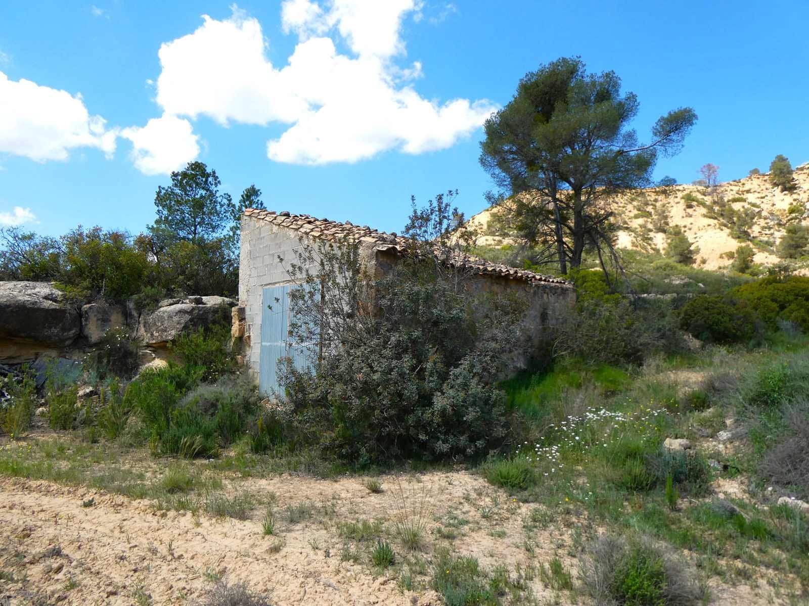 Finka/Dom wiejski na sprzedaż w Maella - 35 000 € (Ref: 9025546)