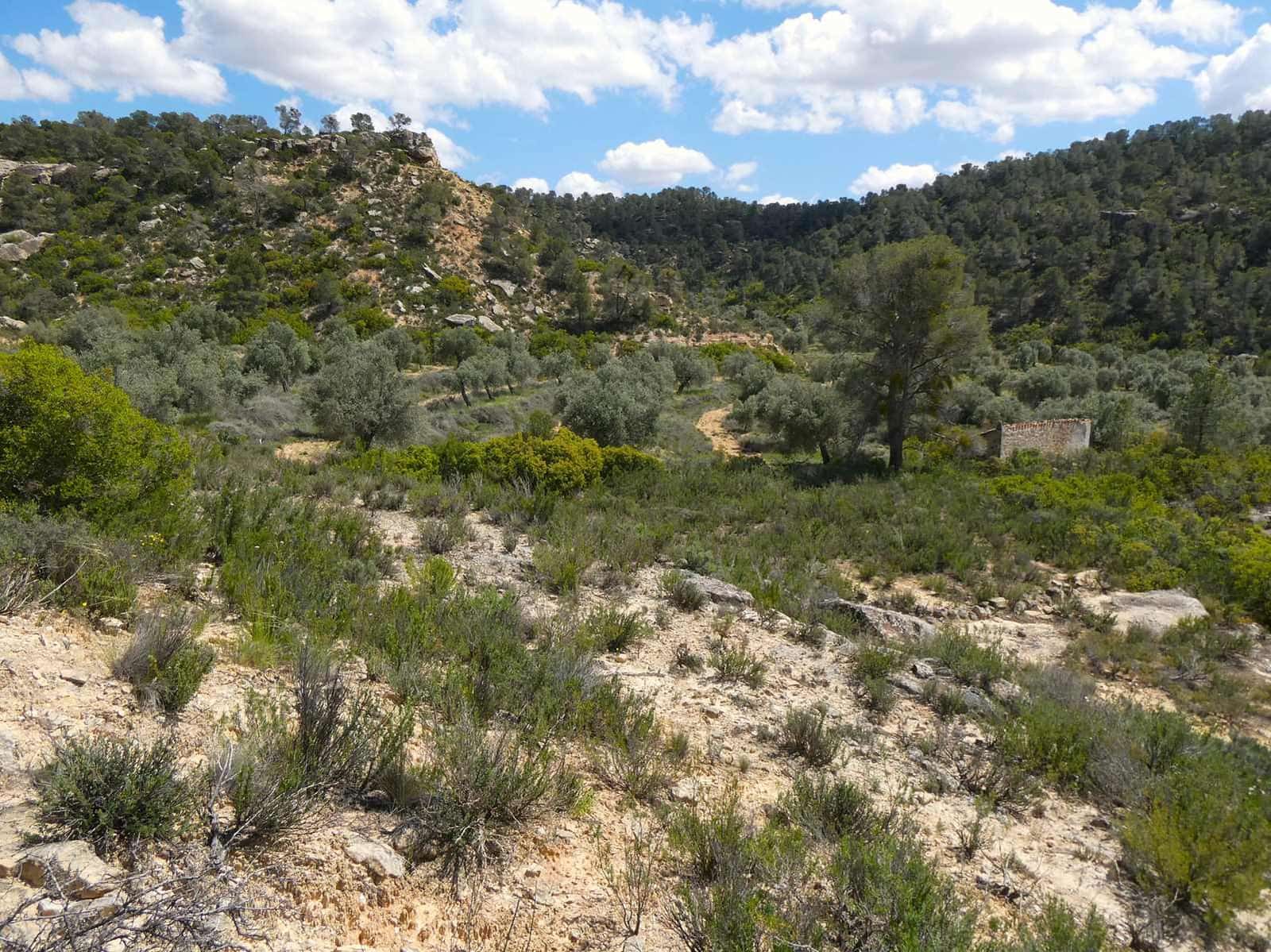 Finka/Dom wiejski na sprzedaż w Maella - 35 000 € (Ref: 9025546)