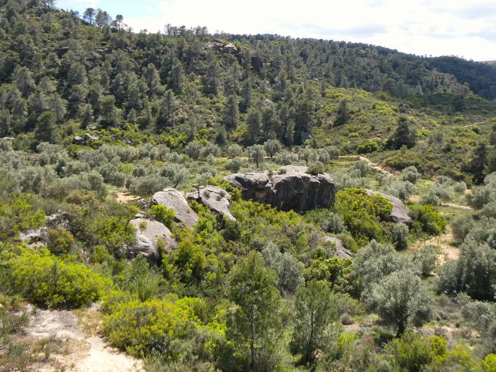 Finka/Dom wiejski na sprzedaż w Maella - 35 000 € (Ref: 9025546)