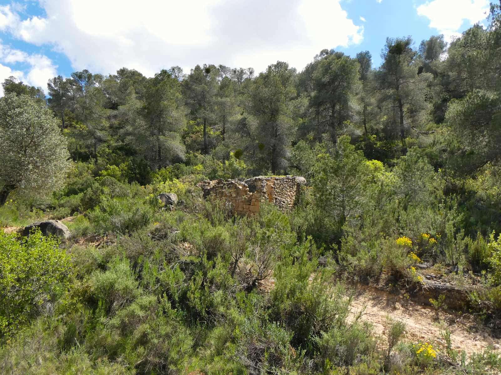 Finka/Dom wiejski na sprzedaż w Maella - 35 000 € (Ref: 9025546)