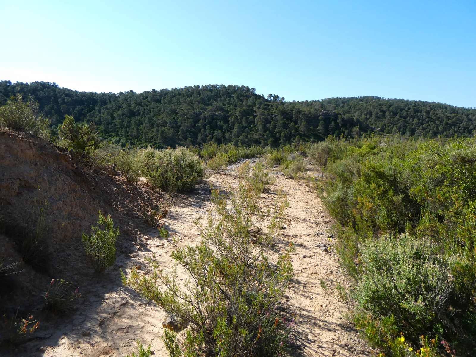 Finka/Dom wiejski na sprzedaż w Maella - 35 000 € (Ref: 9025546)