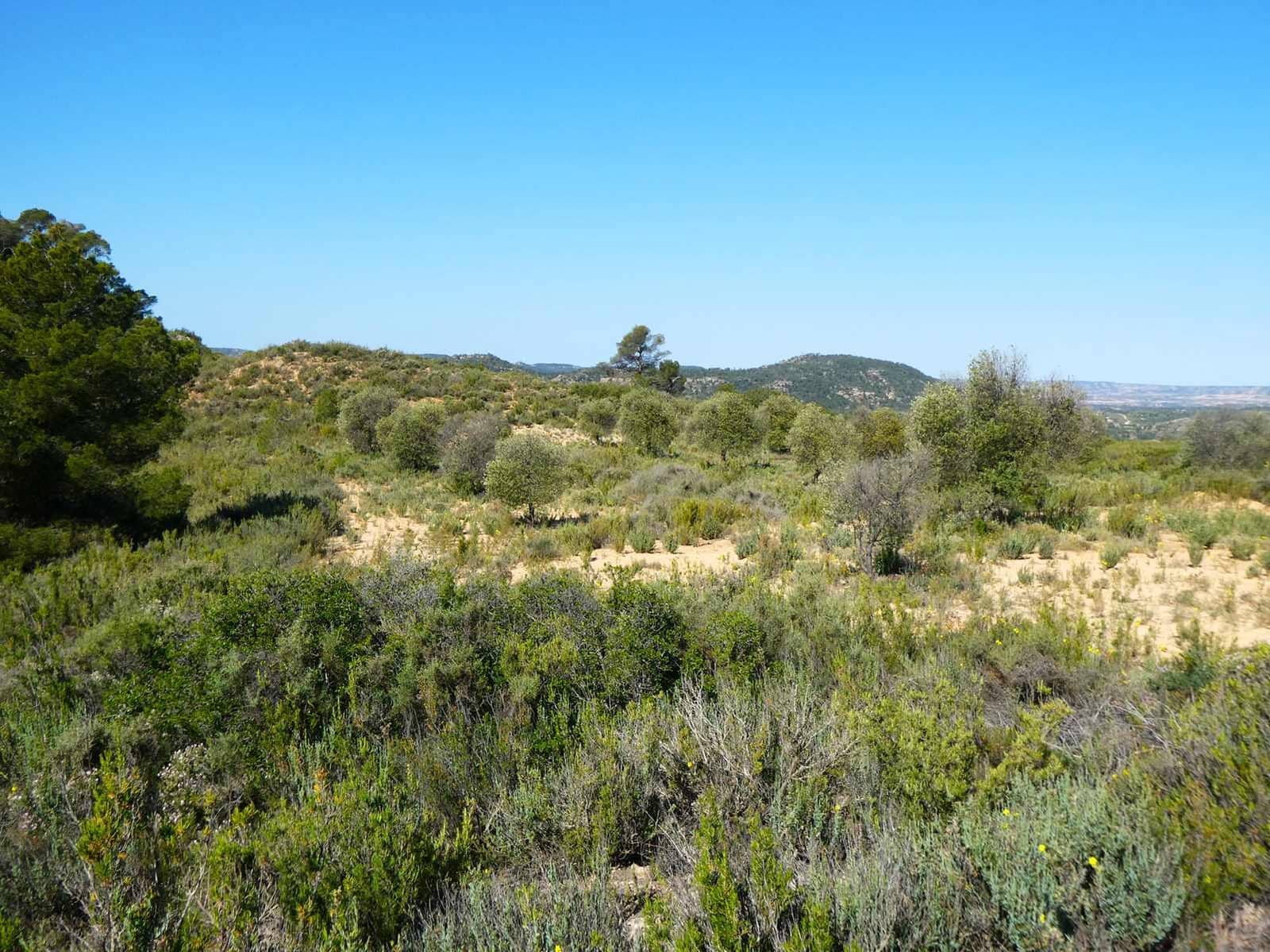 Finka/Dom wiejski na sprzedaż w Maella - 35 000 € (Ref: 9025546)