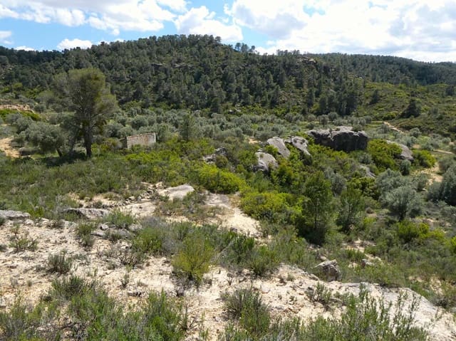 Finca/Landehus til salg i Maella - € 35.000 (Ref: 9025546)