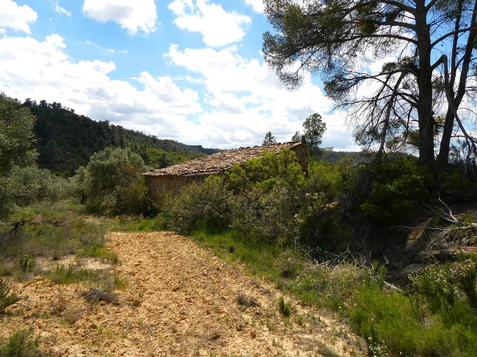 Finka/Dom wiejski na sprzedaż w Maella - 35 000 € (Ref: 9025546)