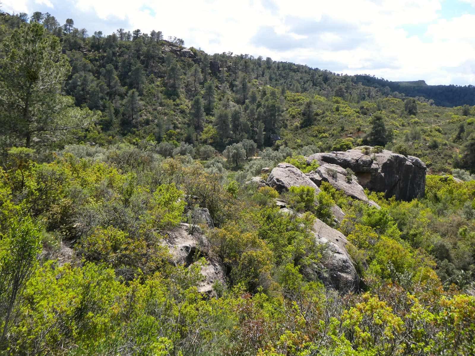 Finka/Dom wiejski na sprzedaż w Maella - 35 000 € (Ref: 9025546)