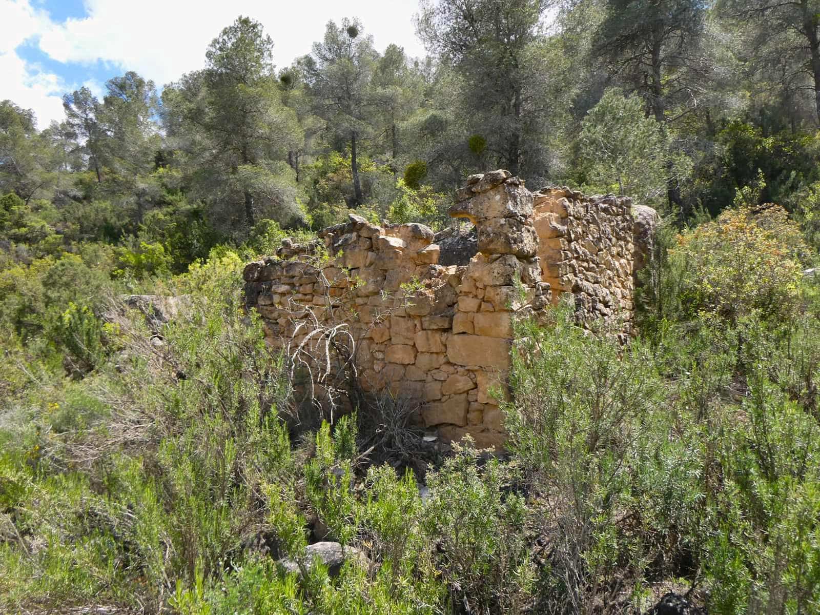 Finka/Dom wiejski na sprzedaż w Maella - 35 000 € (Ref: 9025546)