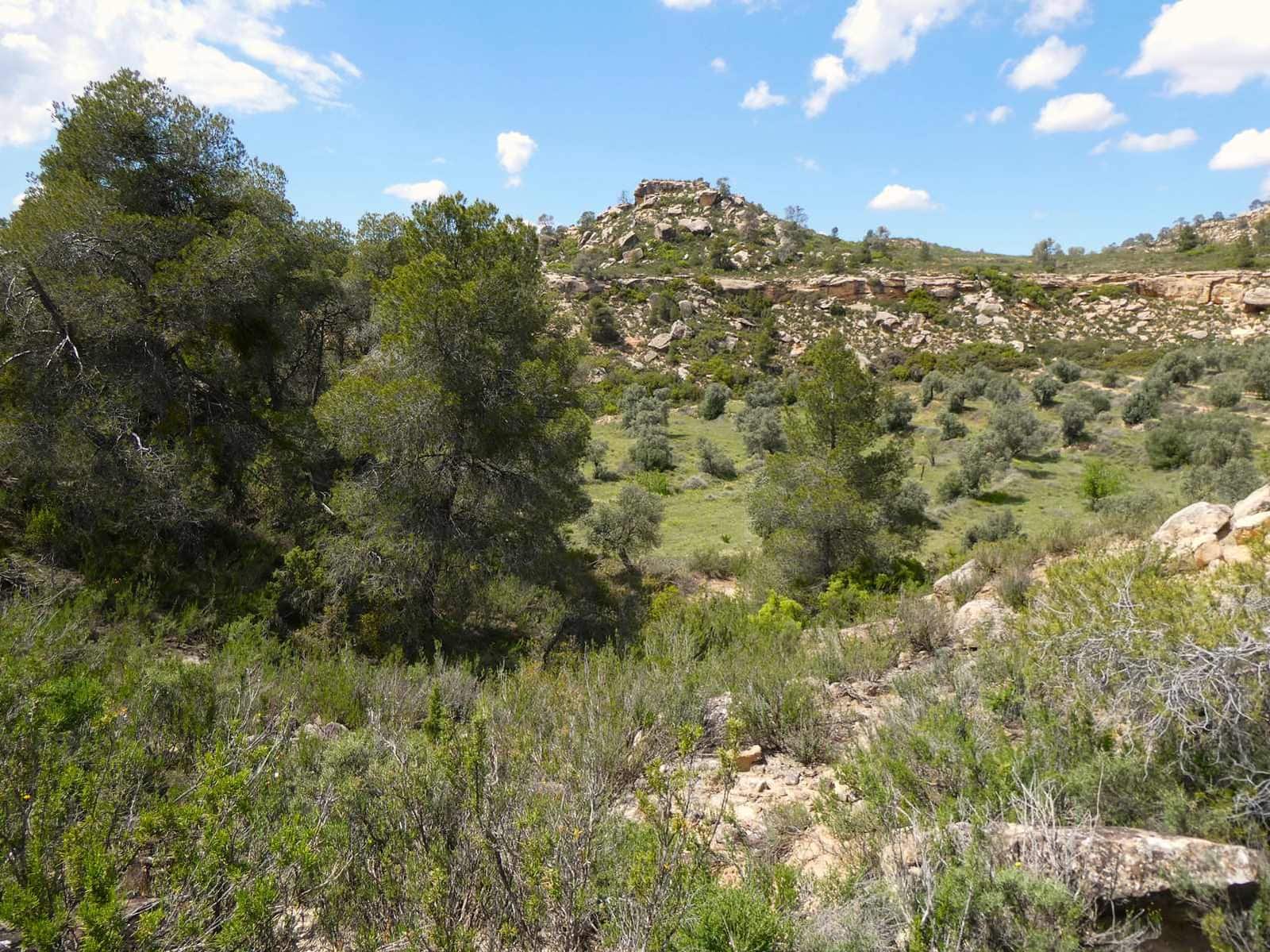 Finka/Dom wiejski na sprzedaż w Maella - 35 000 € (Ref: 9025546)