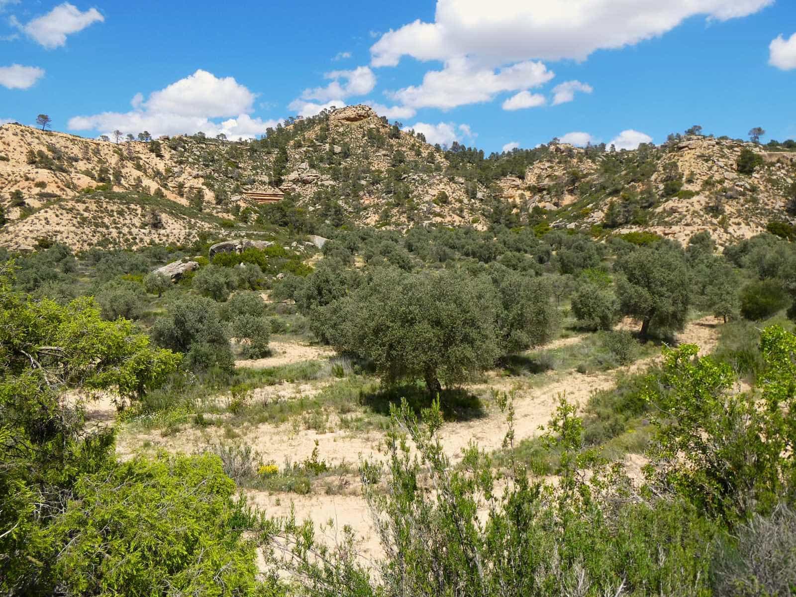 Finka/Dom wiejski na sprzedaż w Maella - 35 000 € (Ref: 9025546)