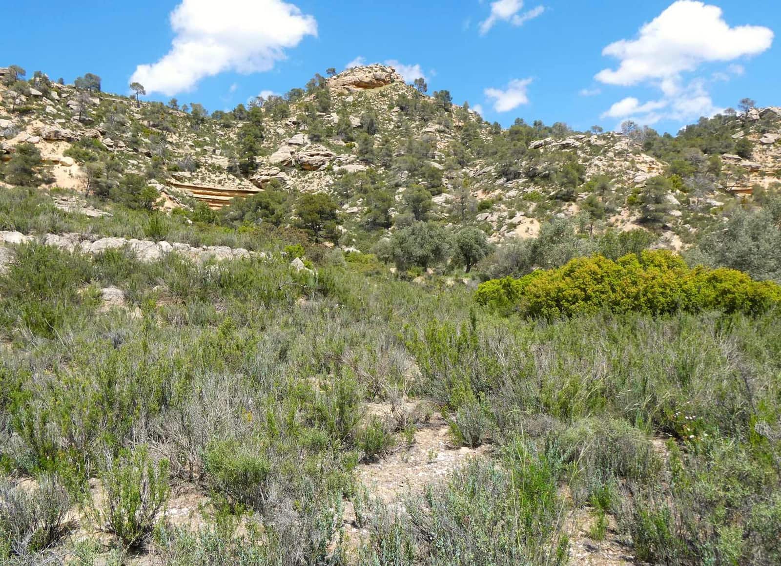 Finka/Dom wiejski na sprzedaż w Maella - 35 000 € (Ref: 9025546)