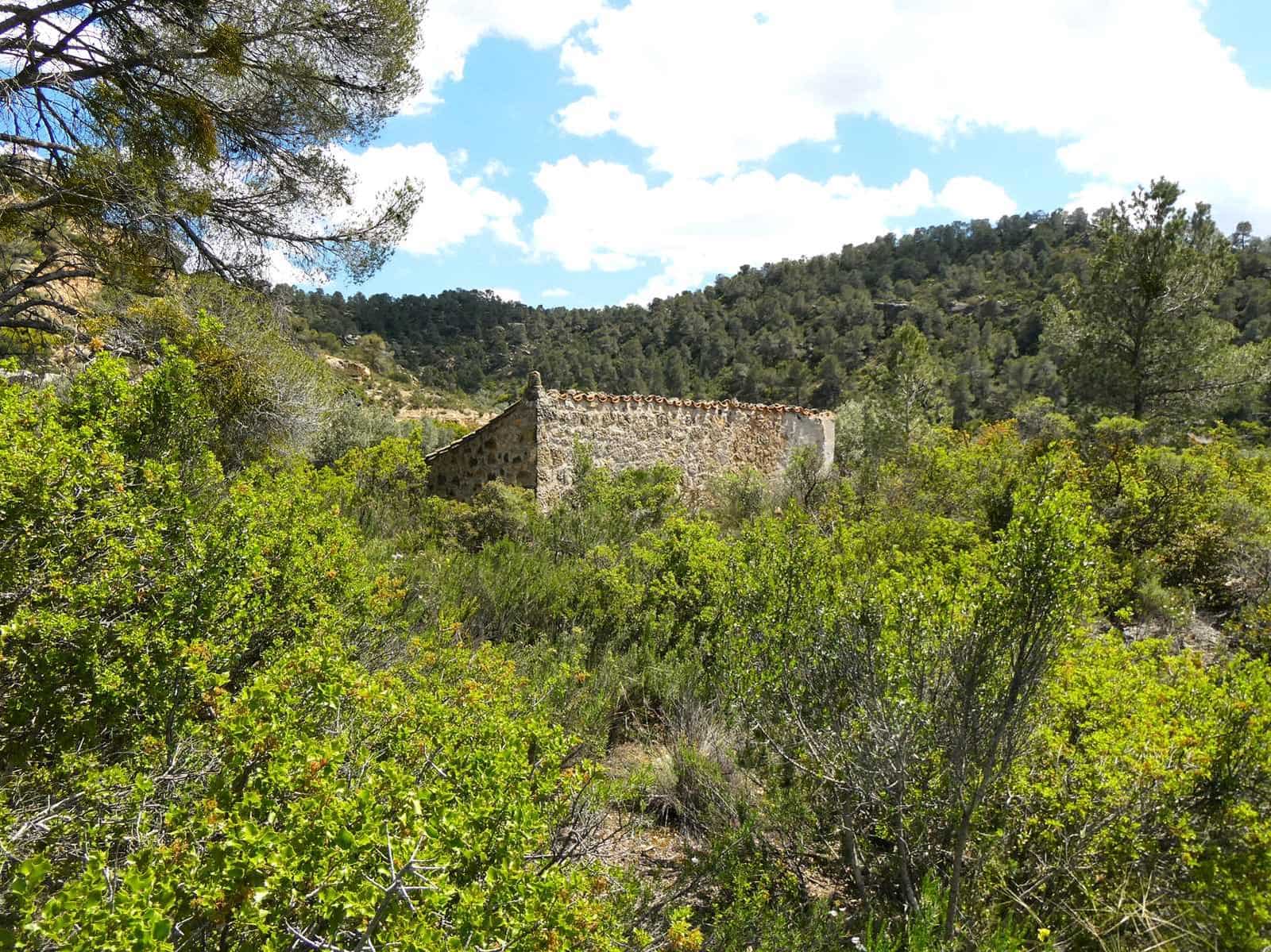 Finka/Dom wiejski na sprzedaż w Maella - 35 000 € (Ref: 9025546)