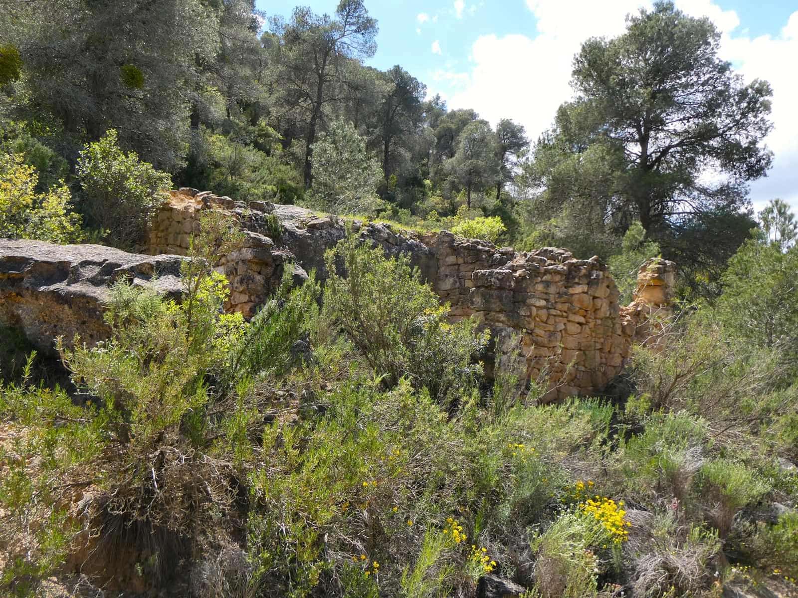 Finka/Dom wiejski na sprzedaż w Maella - 35 000 € (Ref: 9025546)