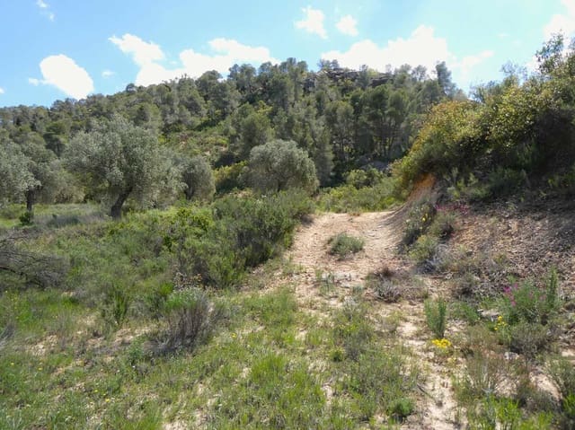 Finca/Country House for sale in Maella - € 32,000 (Ref: 9025546)