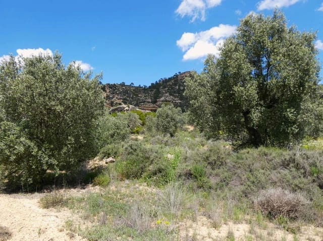 Finca/Country House for sale in Maella - € 32,000 (Ref: 9025546)