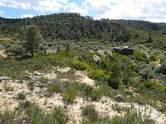 Finca/Country House for sale in Maella - € 32,000 (Ref: 9025546)