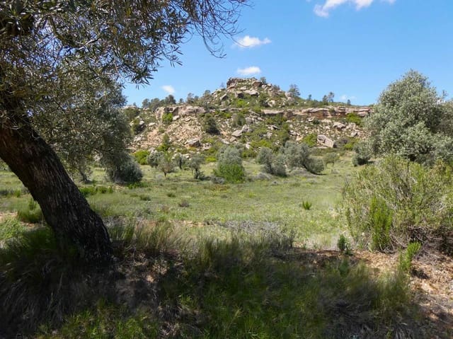 Finca/Country House for sale in Maella - € 32,000 (Ref: 9025546)