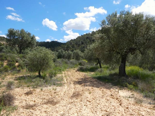 Finca/Country House for sale in Maella - € 32,000 (Ref: 9025546)