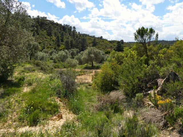 Finca/Country House for sale in Maella - € 32,000 (Ref: 9025546)