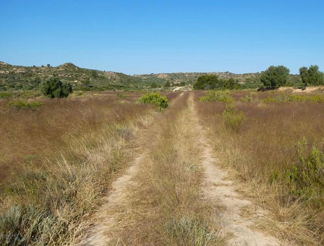 Finca/Landehus til salg i Maella - € 13.500 (Ref: 9060128)
