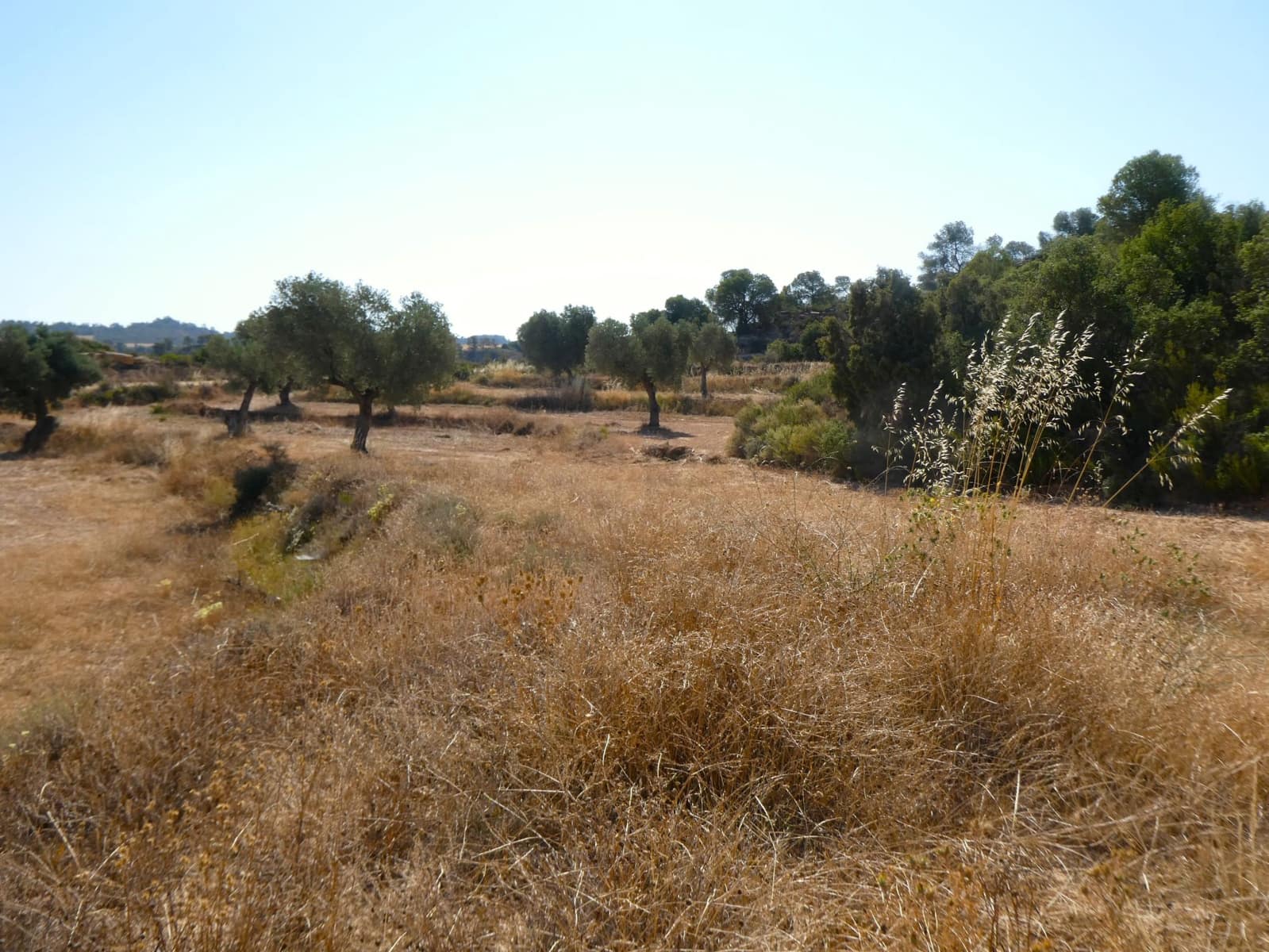 Finca/Landehus til salg i Maella - € 25.000 (Ref: 9100023)