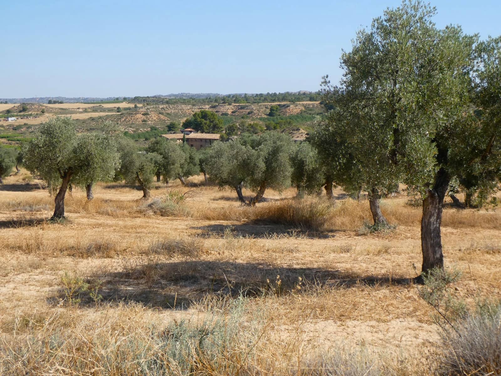 Finca/Landehus til salg i Maella - € 25.000 (Ref: 9100023)