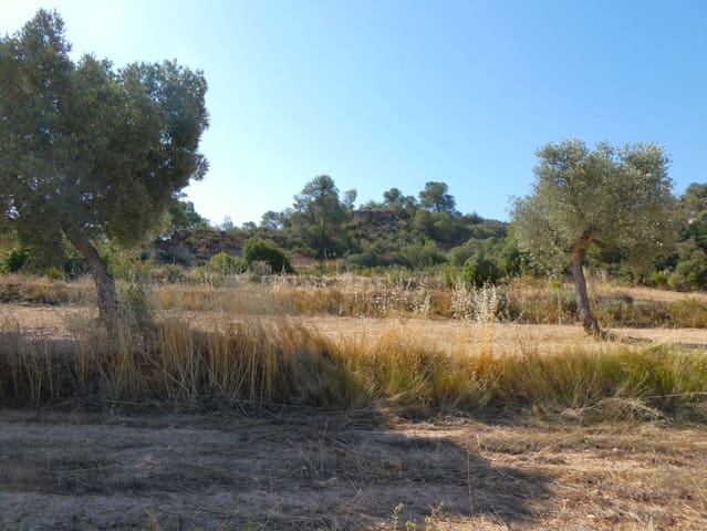Finca/Country House for sale in Maella - € 25,000 (Ref: 9100023)