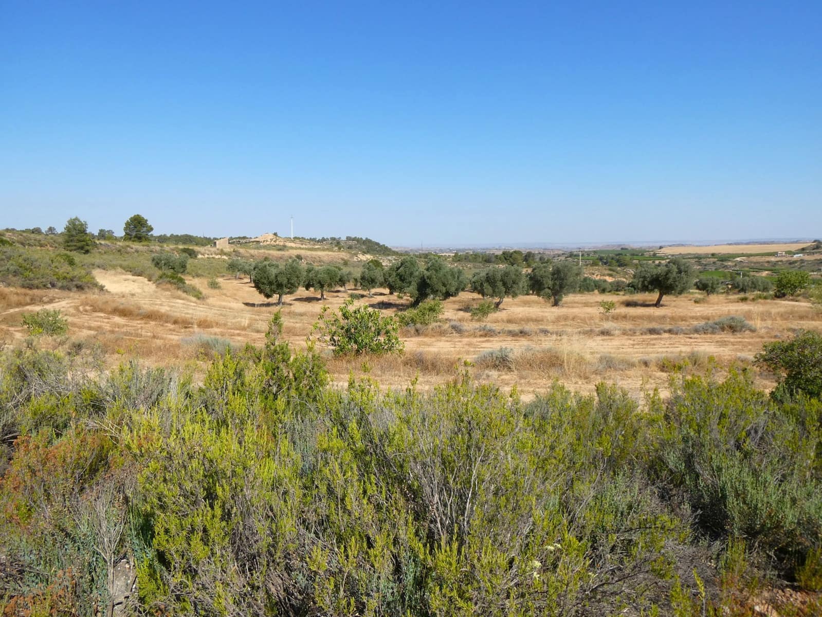 Finca/Landehus til salg i Maella - € 25.000 (Ref: 9100023)