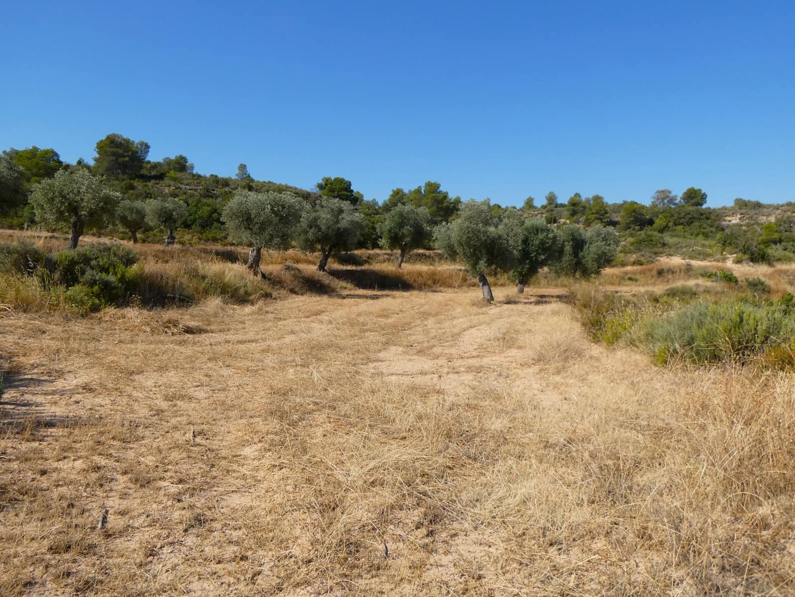 Finca/Landehus til salg i Maella - € 25.000 (Ref: 9100023)