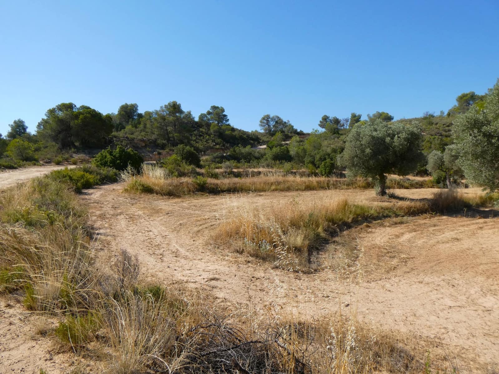 Finca/Landehus til salg i Maella - € 25.000 (Ref: 9100023)