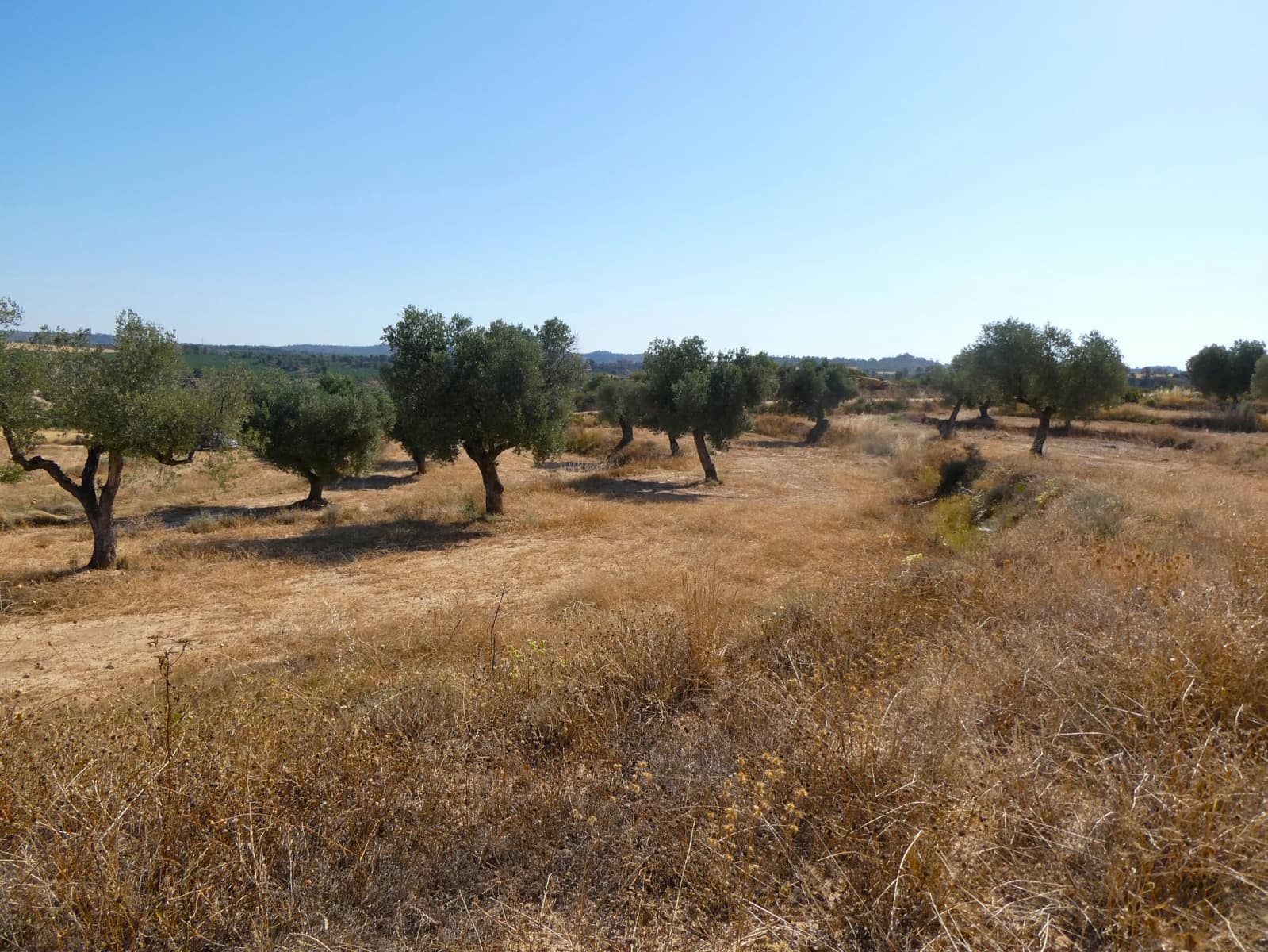 Finca/Landehus til salg i Maella - € 25.000 (Ref: 9100023)